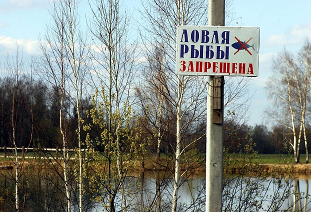 С 1 апреля в Украине стартует нерестовый запрет на вылов рыбы