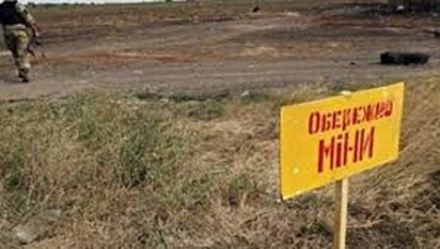 Названо количество пострадавших от взрывов мин на Донбассе в 2018 году