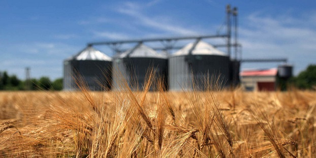 Украина стала меньше экспортировать зерновые культуры