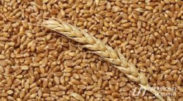 Экспорт зерна в Украине составил более 34 млн тонн