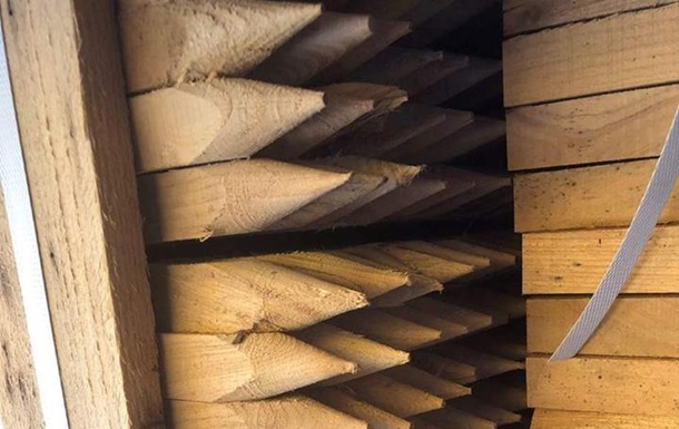 Из Украины в Польшу пытались вывезти 20 тонн ценной древесины