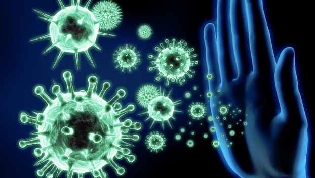 Как иммунитет влияет на генетику