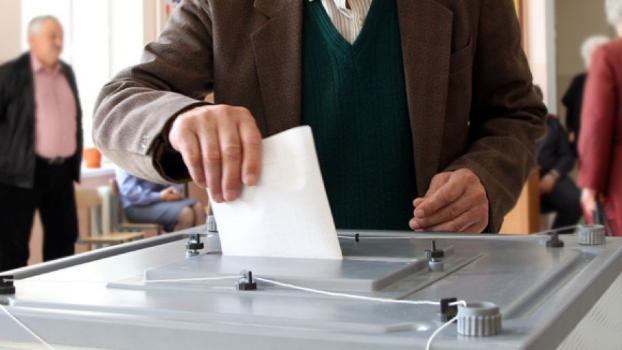 Стали известны предварительные итоги голосования в Красноармейске