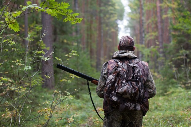 В Луганской области впервые за 4 года открыли сезон охоты на птиц