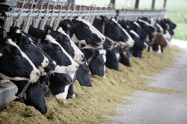 Украина на треть увеличила объем сельхозпроизводства