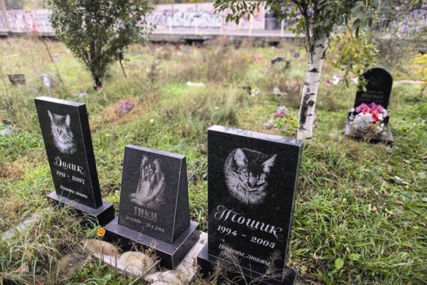 В Краматорске военные просят перенести кладбище домашних животных