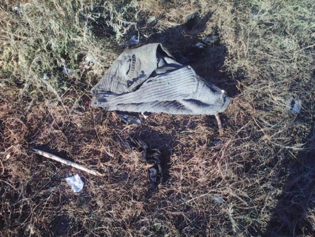 Бездыханное тело парня со следами укусов животных обнаружили в Дружковке
