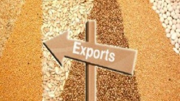 Украина экспортирует рекордное количество агропродукции в ЕС