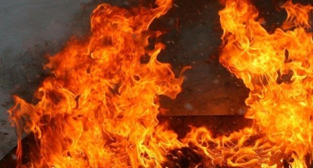 Жара послужила причиной 14 пожаров в Донецкой области