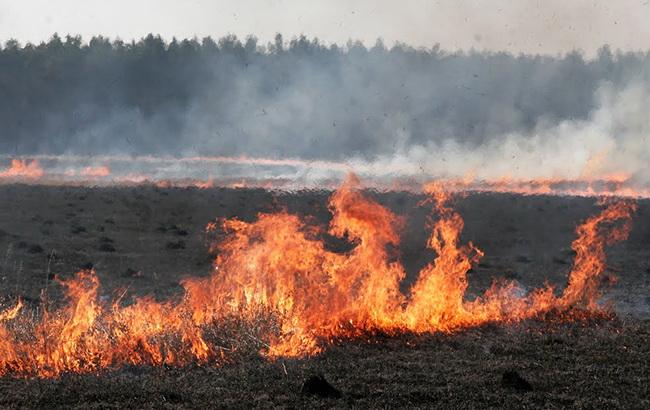 В Украине сохранится наивысший уровень пожарной опасности