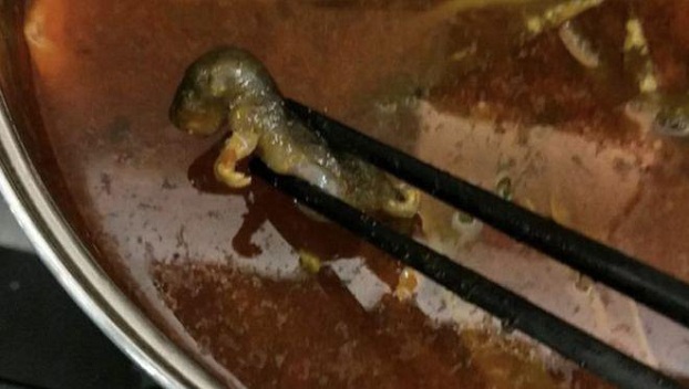 В китайском ресторане нашли крысу в супе