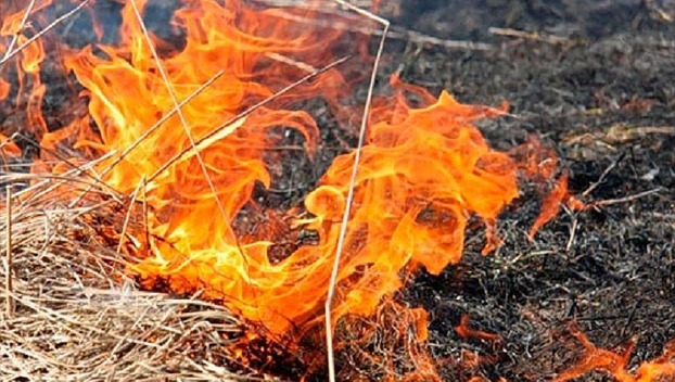 В Мирнограде случился масштабный пожар, никто не пострадал