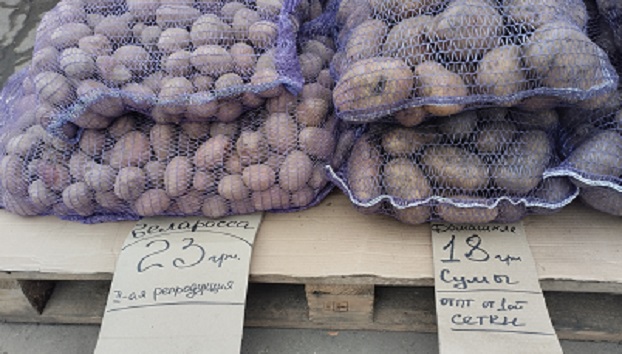 У Костянтинівці вже продають посадкову картоплю: Ціни трохи знизилися