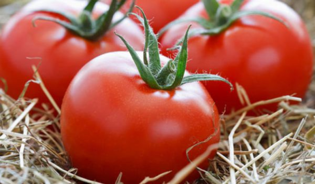 В Украину завезли зараженные помидоры из Турции 