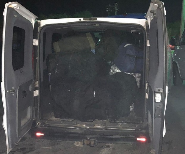 На Закарпатье сотрудники СБУ блокировали контрабанду янтаря на миллион долларов