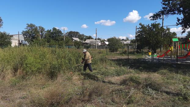 В посёлке Первомайский в Константиновке наконец-то убирают карантинные травы 