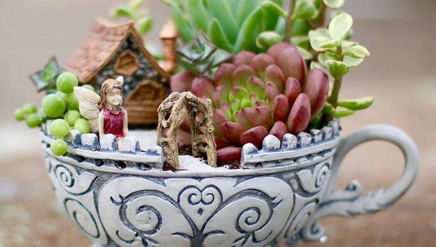 Хобби для души: Мини-сад из кактусов и суккулентов своими руками