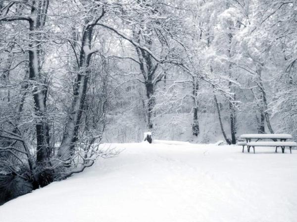 Календарная зима в Украине начнется со снегопада