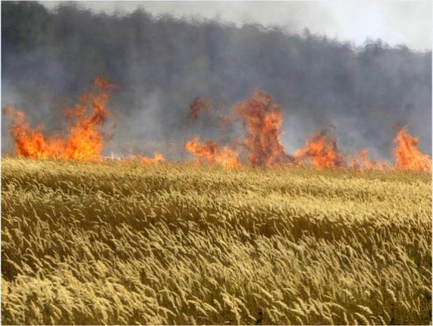 Пожары грозят уничтожить хлеб нового урожая в Константиновском районе