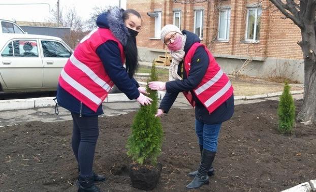 В Марьинке высадили новые деревья для городской аллеи