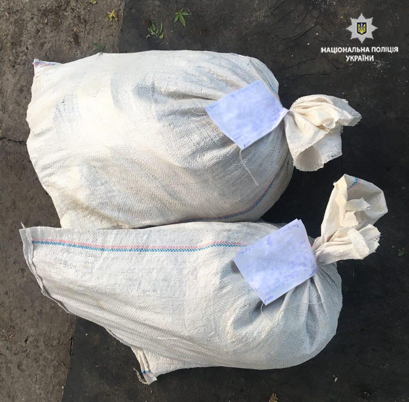 В Мариупольском районе полиция изъяла 140 кустов конопли