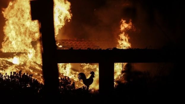 Жертвами лесных пожаров в Греции стали по меньшей мере 50 человек