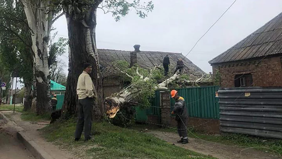 ДТП и два упавших дерева: что произошло сегодня в Славянске