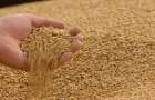 В Марьинском районе подвели итоги уборки ранних зерновых 
