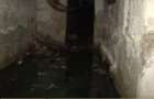 Жители многоэтажки в Мариуполе страдают от запаха канализации из подвала