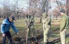 Военнослужащие высадили деревья в парке Новогродовки