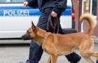 Беженец из Германии покусал полицейского и его собаку 