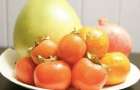 Какие «зимние» фрукты укрепляют иммунитет 