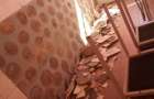 В школе на Киевщине на 12-летнего ученика упала плитка
