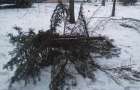 В парке Константиновки срубили ели