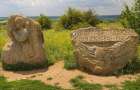 На Донбассе найден парк палеозойской эры, где древность пересеклась с современностью