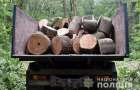 Four "illegal loggers" detained in Slavyansk region