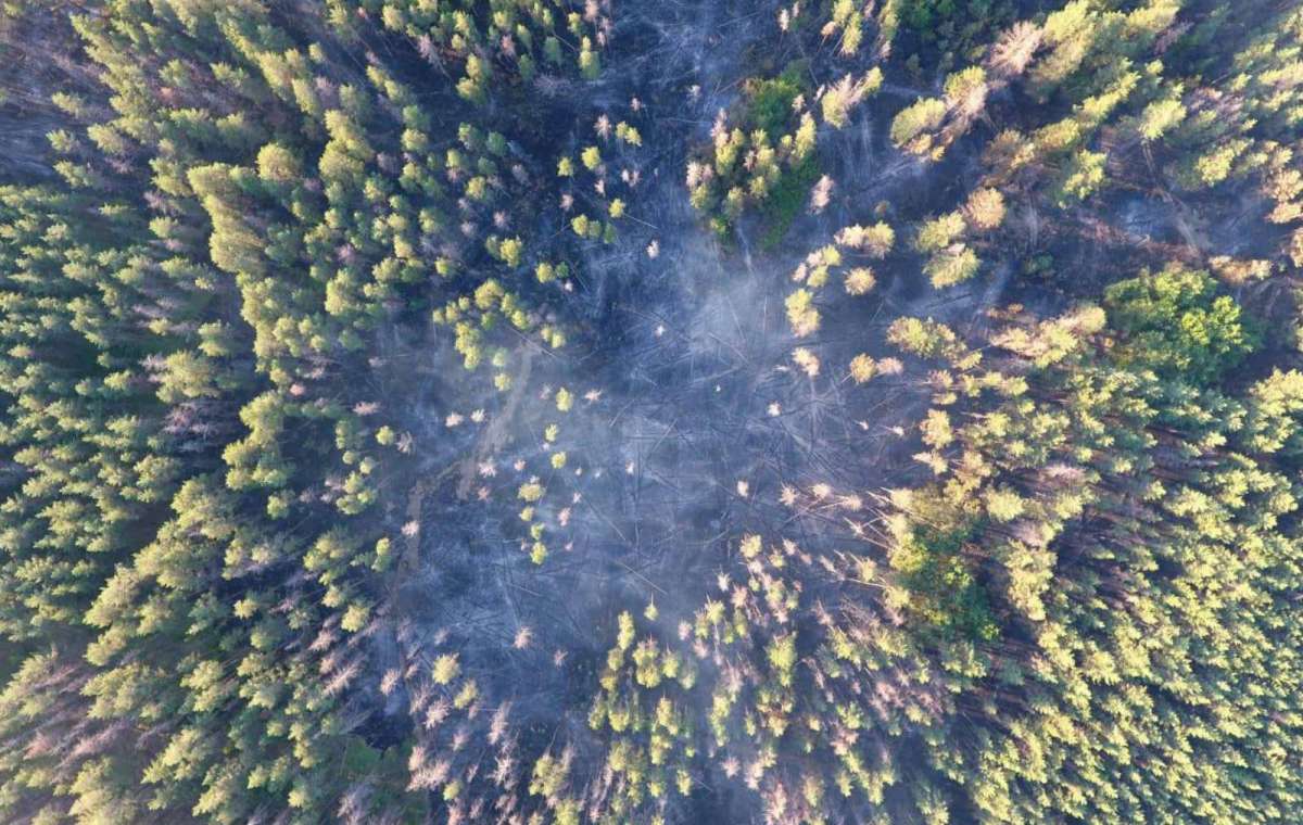 Из-за обстрела в Луганской области горел лес