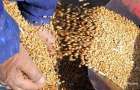 Ukraine started exporting grain of a new harvest