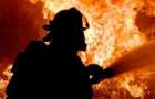 Под Мариуполем в жилом доме сгорела женщина