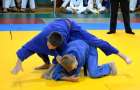 В областном чемпионате по дзюдо в Доброполье за победу сражались 220 спортсменов