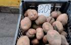 В Константиновке резко дорожает картофель: Эксперты дали прогноз
