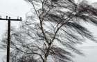 Сильный ветер в Константиновке оставил без света сотни потребителей