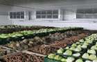 Для продовольственной безопасности Украины необходимо построить около 140-150 овощехранилищ