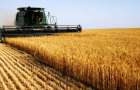 В Донецкой области займутся развитием сельского хозяйства 