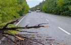 В Белицком спасатели освободили тpассу от  двух упавших деревьев