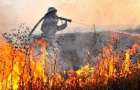 Лесные пожары в Лиманском районе: за минувшие выходные спасатели 7 раз ликвидировали возгорания