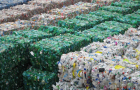 В Житомире построят крупнейший завод по переработке отходов