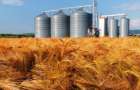 В Аграрном фонде подозревают, что у них украли зерно на 200 млн гривень
