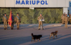 В Мариуполе президент поздравил морпехов в обществе двух собак