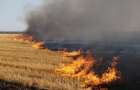 В Харьковской области пожар уничтожил 23 га зерна 